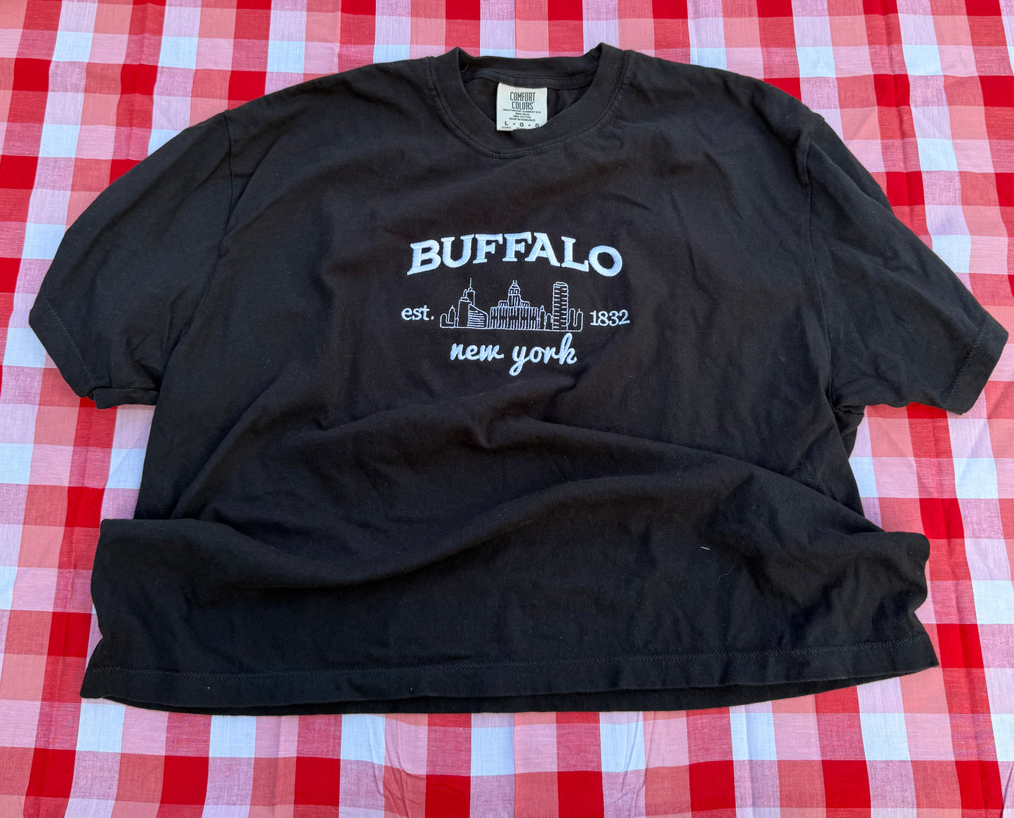 Embroidered Buffalo Skyline Crop Tee