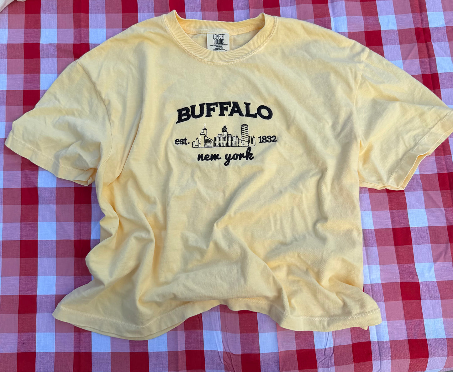 Embroidered Buffalo Skyline Crop Tee