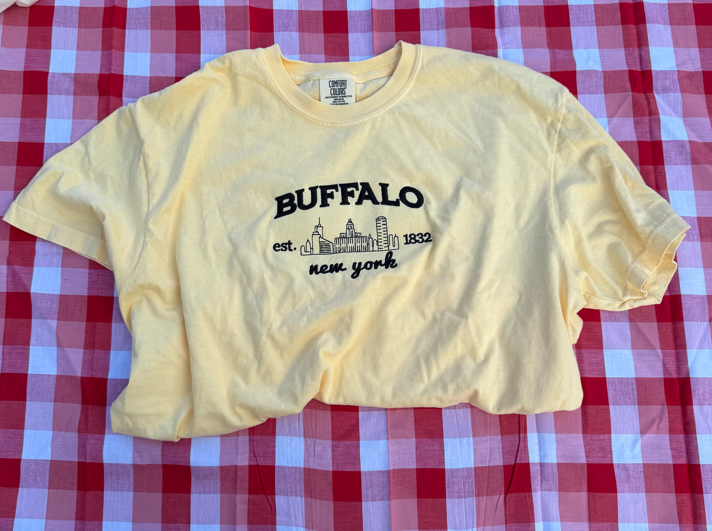 Embroidered Buffalo Skyline Crop Tee